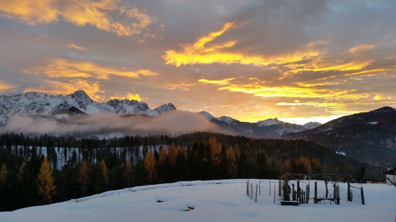 Agriturismo Gacceman Villa Ugovizza Eksteriør bilde