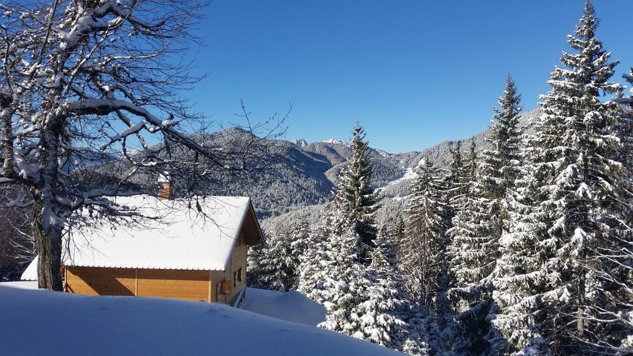 Agriturismo Gacceman Villa Ugovizza Eksteriør bilde